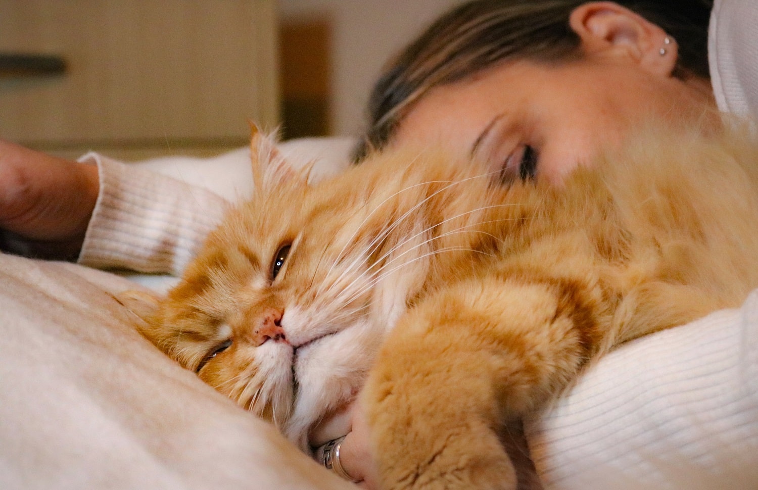 A person laying in bed with an orange cat.