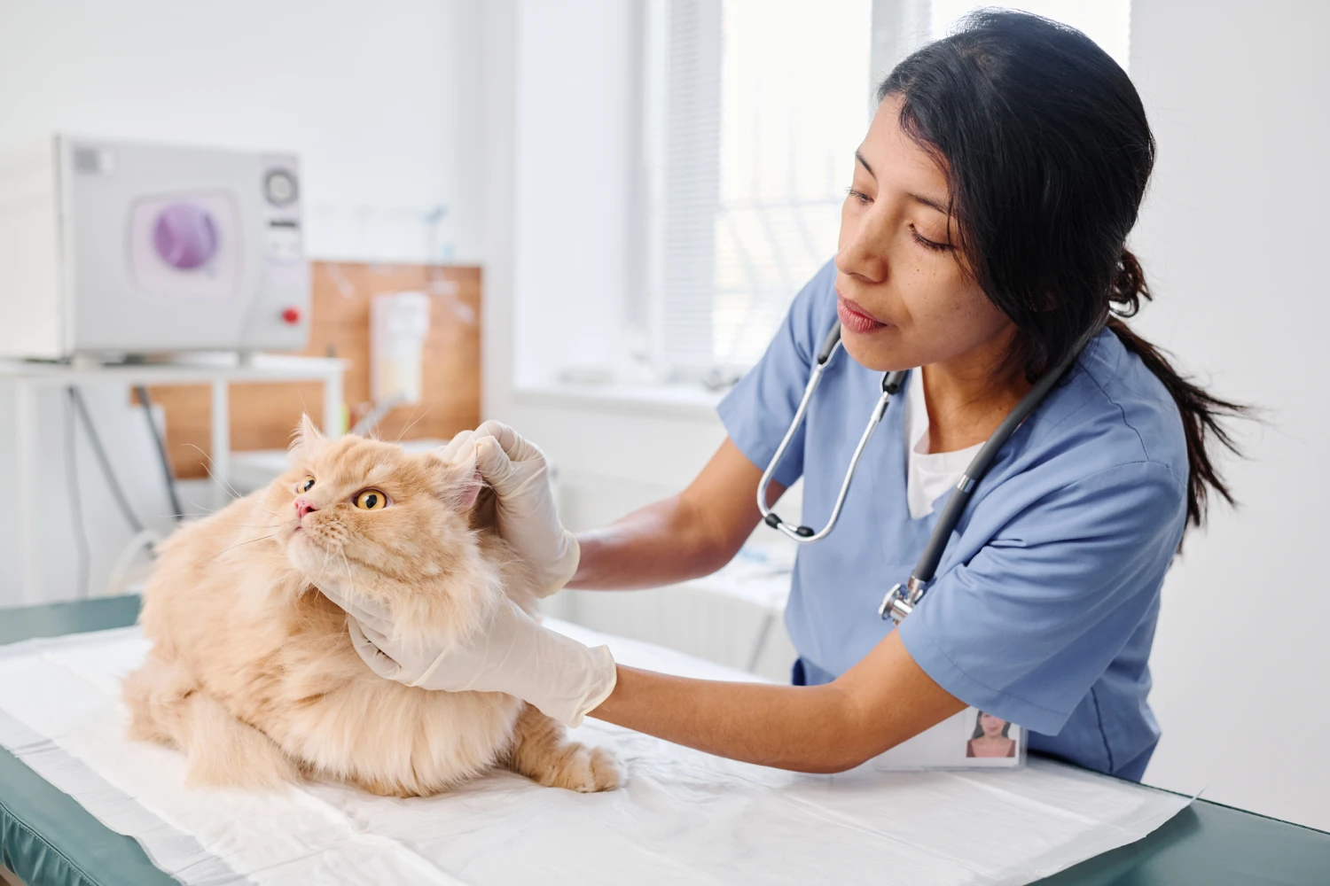A woman in scrubs petting a cat on the chest.